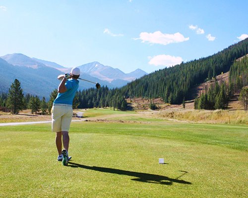 A well maintained golf course alongside pine trees.