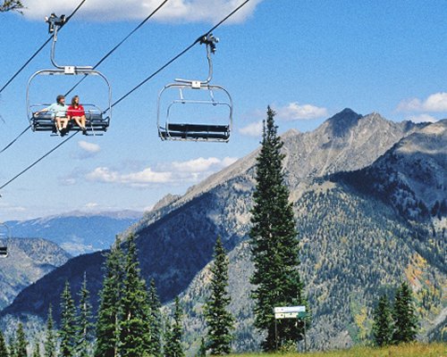 A couple in a cable car alongside the pine trees and mountains.