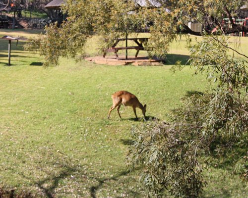 Magalies Park Country Club