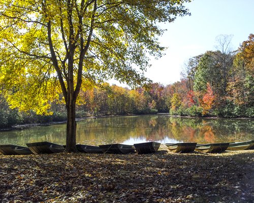 View of the lake with boats surrounded by wooded area at fall.