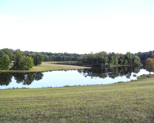 View of wooded area alongside the lake.