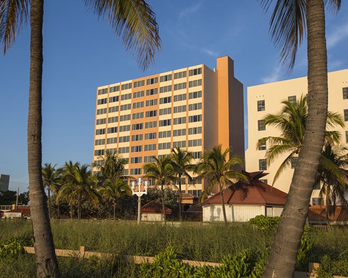 Hollywood Beach Tower