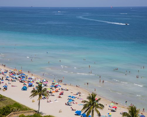 An aerial view of the beach and ocean with palm trees sunshades and chaise lounge chairs.