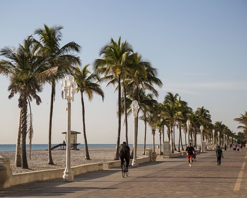 A pathway with palm trees alongside the beach.