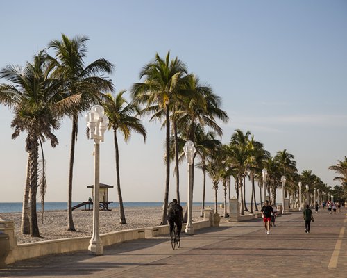 Hollywood Beach Tower