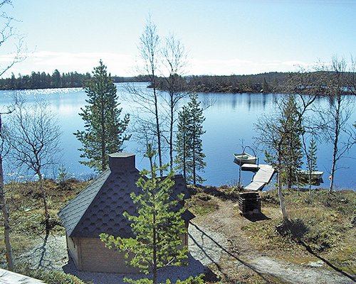 A view of the lake with pine trees.