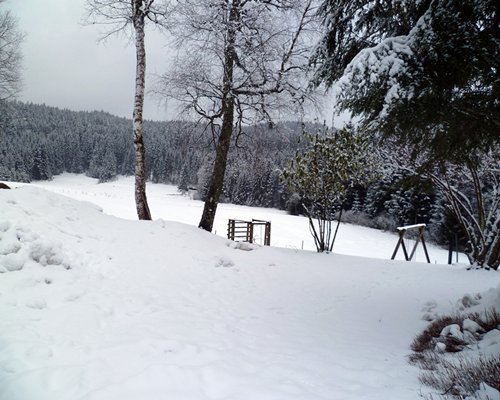 An outdoor play area covered in snow surrounded by pine trees.