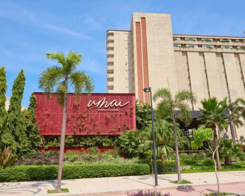 Image Description to Come