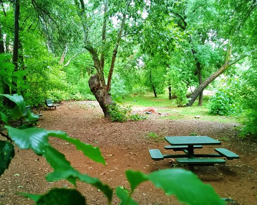 An outdoor picnic area.