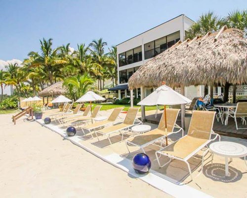 View of chaise lounge chairs thatched sunshades and palm trees alongside a unit.