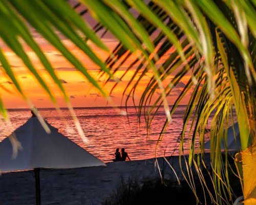 A couple sitting on the beach at sunset.