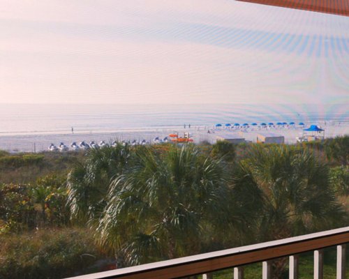 Club Regency Of Marco Island