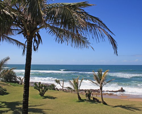 Salt Rock Palms