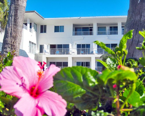 Exterior view of the multi story balconies with flowering shrubs.