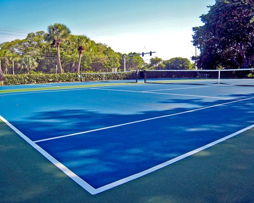 Outdoor recreation area with tennis courts surrounded by wooded area.