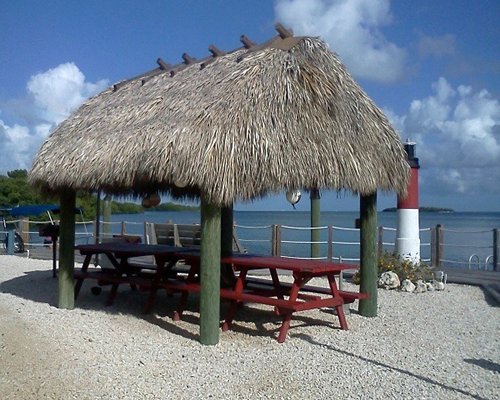 An outdoor recreational area with a picnic table facing the ocean.