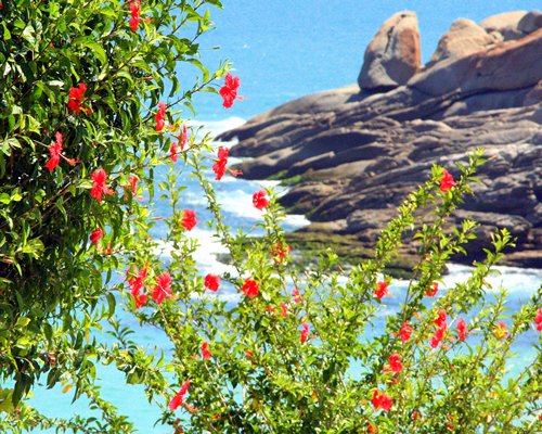 A beach alongside rocks.