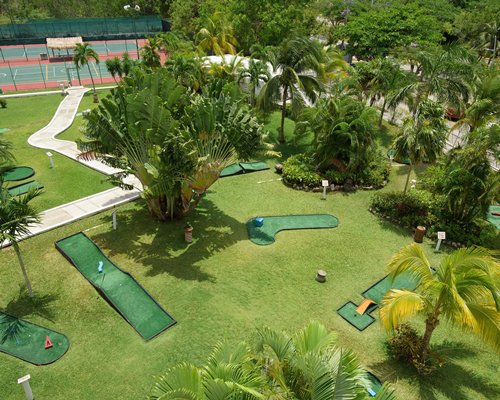 Outdoor swimming pool with chaise lounge chairs thatched sunshade and palm trees alongside the ocean.