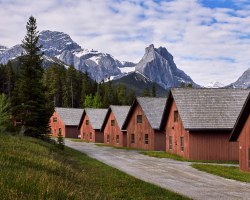 Image Description to Come