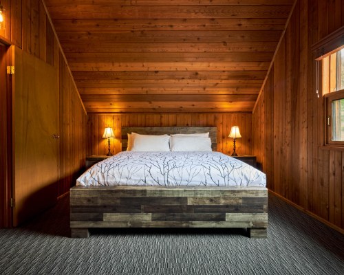 Image Description to Come