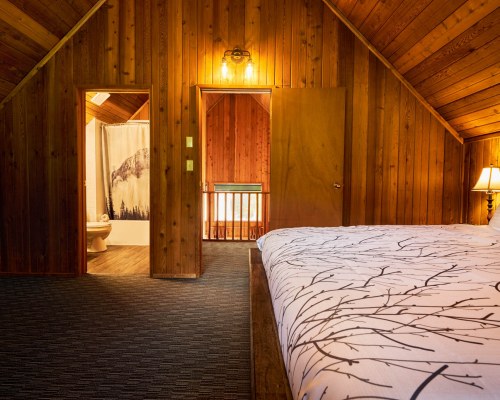 Image Description to Come