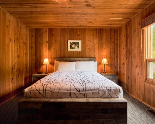 Image Description to Come