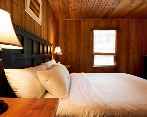 Image Description to Come