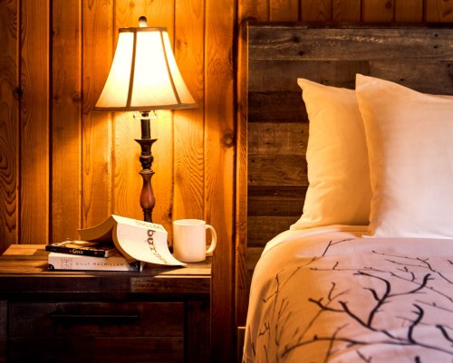 Image Description to Come