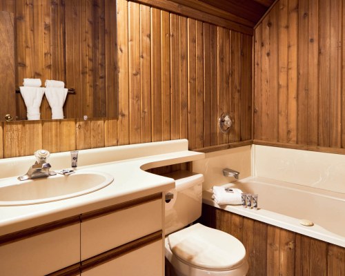 Image Description to Come