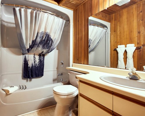 Image Description to Come