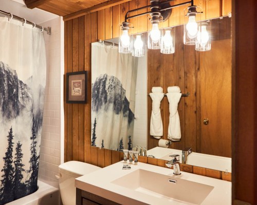 Image Description to Come