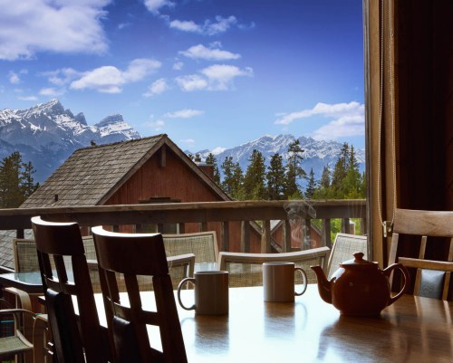 Image Description to Come