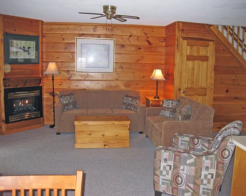 A well furnished living room with a pull out sofa television and fire in the fireplace.