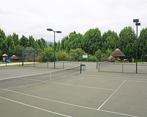 View of outdoor tennis courts surrounded by trees.