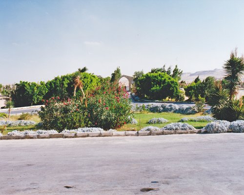 Exterior scenic landscape alongside a pathway.