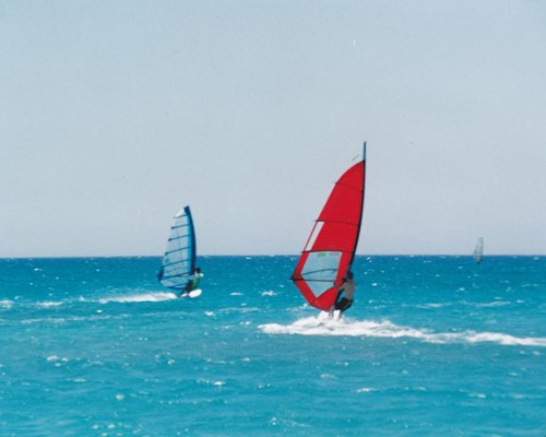 View of people wind surfing at the beach.