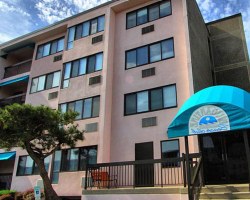 Image Description to Come