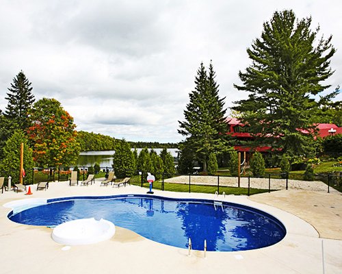 An outdoor swimming pool with chaise lounge chairs surrounded by woods.