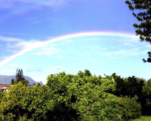 Scenic view of a rainbow.