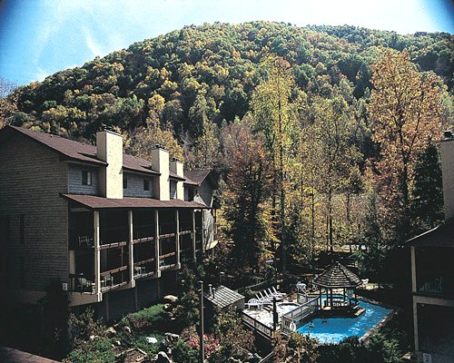 Tree Tops Resort