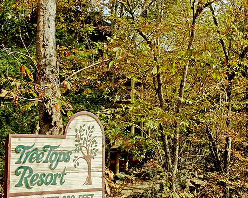 Tree Tops Resort