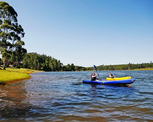 People sailing on the lake surrounded by a wooded area.
