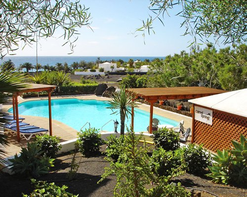 Scenic outdoor swimming pool with chaise lounge chairs alongside the beach.