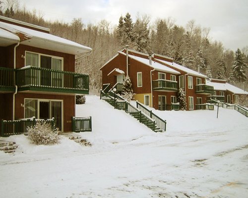Exterior view of the Chalets Sur Le Fjord resort alongside pine trees covered in snow.