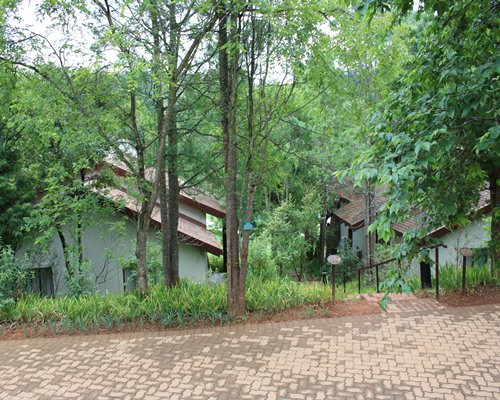 Exterior view of a pathway leading to units at Drakensberg Sun surrounded by wooded area.