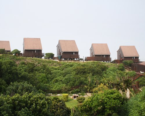 An exterior view of multiple resort units surrounded by trees.