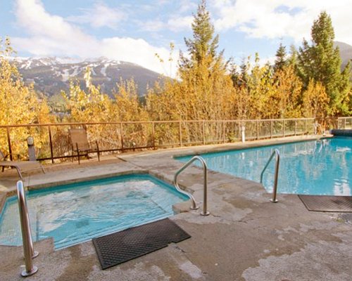An outdoor swimming pool with hot tub surrounded by trees.