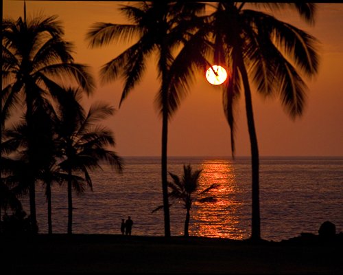 View of ocean from the beach at dawn with coconut trees.