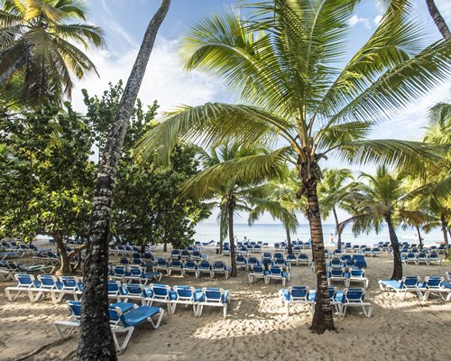 Viva Vacation Club At Viva Wyndham Dominicus Beach