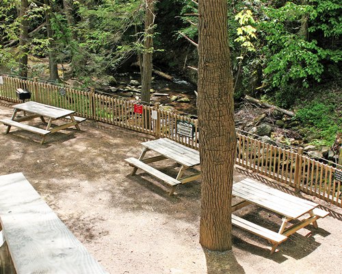 An outdoor picnic area alongside a river surrounded by trees.